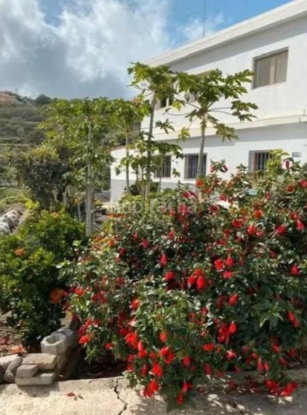 Foto e794de77-32fe-4c48-83ed-6391c9795db9. Haus in San Lorenzo Palmas de Gran Canaria (Las)