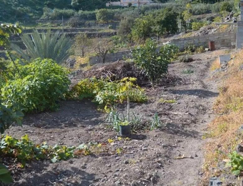 Foto e7ca4646-ad00-4448-8c9b-fa23d5622c3c. Haus in San Lorenzo Palmas de Gran Canaria (Las)
