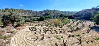 Terreny residencial a Teulada. Parcela de 11 000 m2 con sereno paisaje de montaña cerca de mora
