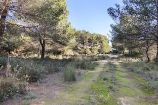 Terreny residencial a Benissa Pueblo. Oportunidad de inversión  parcela rústica en benissa 7.297 m