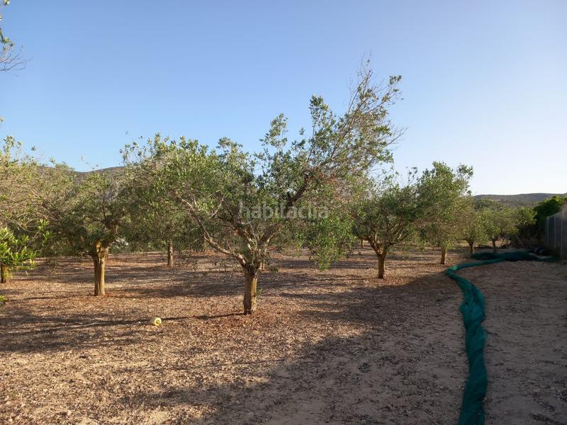 Foto deb4f80c-6f35-4599-80b3-cdd20a574a58. Casa finca increíble en Teulada
