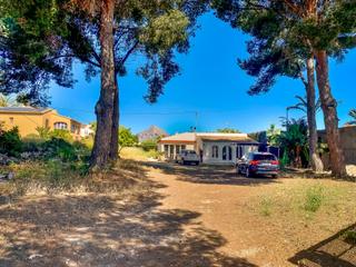Casa en Cap Martí - El Tossalet - Pinomar. Amplia parcela con casa  ubicación privilegiada cerca del centro