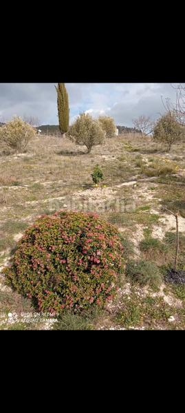 Foto 0de31d49-6236-47ee-ac26-c973406d2cf9. Landgut in Mañeru