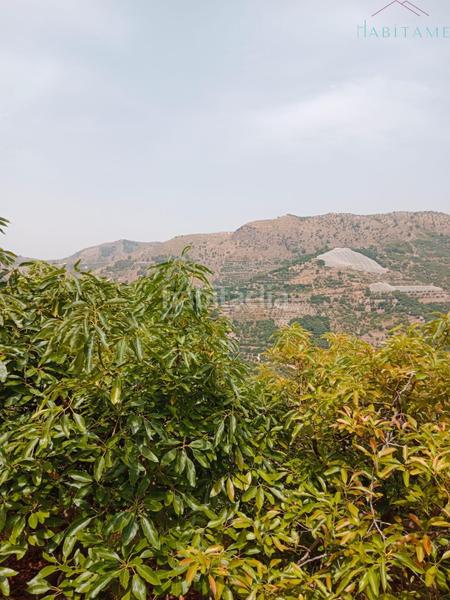 Foto 6f717050-8994-4355-98c3-f4995fa782b2. Wohngrundstück in paraje de la palma 3 in Jete