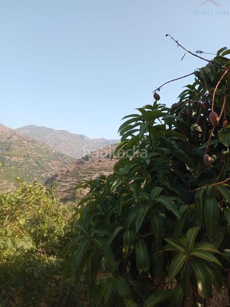 Foto 6fa52916-85f1-41d2-a7a5-b8d2a3016339. Wohngrundstück in paraje de la palma 3 in Jete