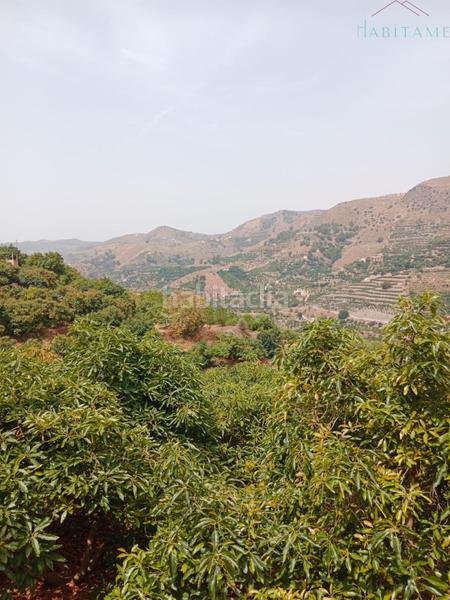 Foto c58247c3-be5e-48e8-87f3-13ee9bafa4d9. Wohngrundstück in paraje de la palma 3 in Jete