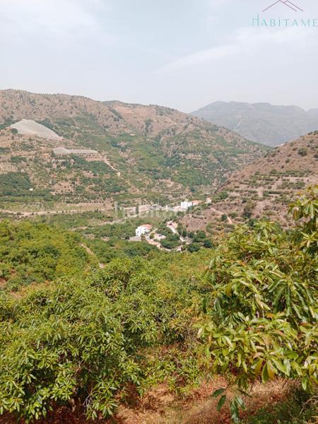 Foto cfe42ca9-04bd-412f-a466-e70357d81393. Wohngrundstück in paraje de la palma 3 in Jete