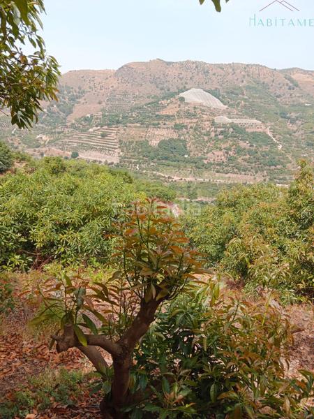 Foto ec6c6676-7f45-45ec-b472-26efc8e62e30. Wohngrundstück in paraje de la palma 3 in Jete