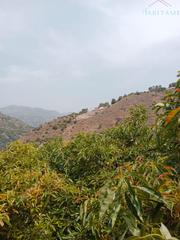Terrain résidentiel à Paraje de la palma 3. Jeteterreno