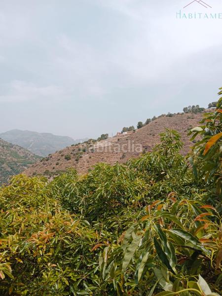 Foto ecc1617d-c12a-4fa7-932d-1f3d9c86f15f. Wohngrundstück in paraje de la palma 3 in Jete