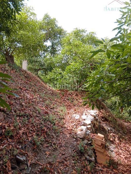 Foto f4ef8253-a60d-4238-a7a8-2efbe7c47360. Wohngrundstück in paraje de la palma 3 in Jete