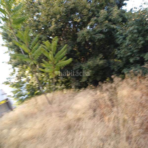 Foto dc6c2cd0-95de-4cb0-ae56-b395f63284a1. Terreny residencial a Albaida