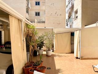 Appartement à Avinguda novelda 104. Piso con amplia terraza