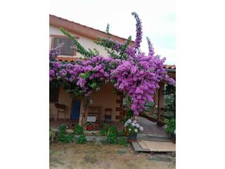 Xalet a Torno (El). Chalet en venta en el torno