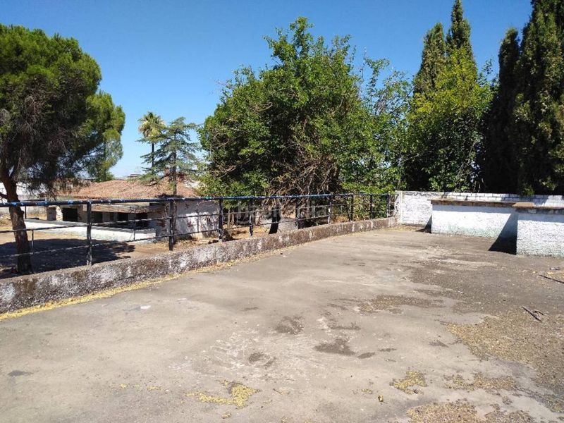 Foto 30ceea8b-452f-431e-a3a2-57855373acfd. Xalet a Maria Auxiliadora - Barriada de Llera Badajoz