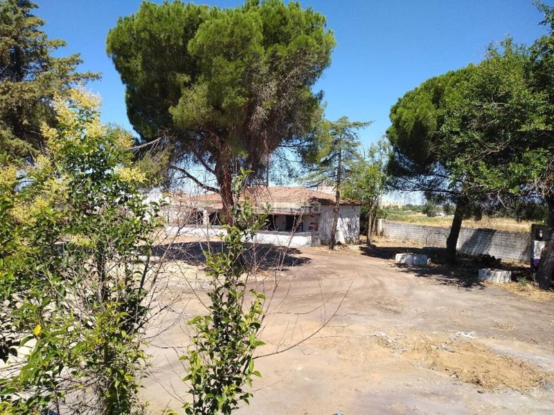 Foto 9c213045-0566-498f-8162-60b365354f88. Xalet a Maria Auxiliadora - Barriada de Llera Badajoz