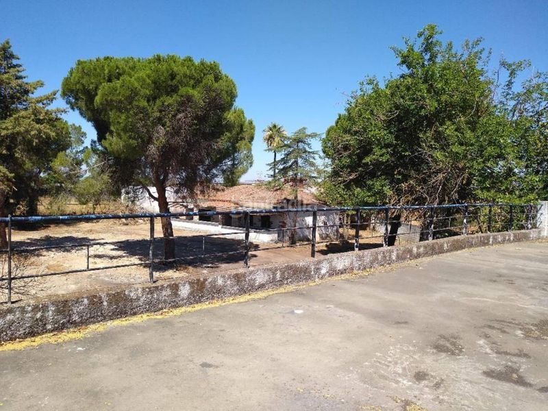 Foto c08ea326-1c5f-46d5-85f0-1de4b8e9d0ae. Xalet a Maria Auxiliadora - Barriada de Llera Badajoz