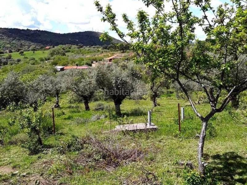 Foto 1ca254f5-0c04-4fff-9aea-a7be4ffa71bc. Masía en Zona Sur - Av. De España - San Miguel Plasencia