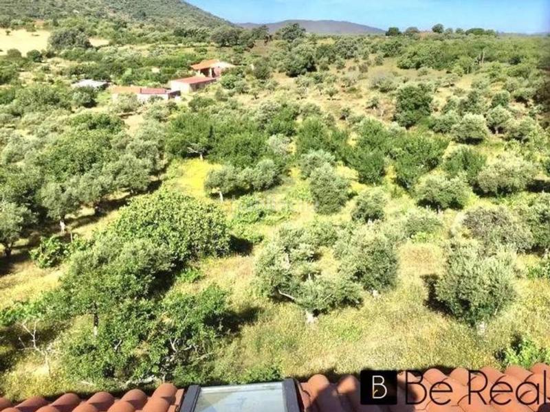 Foto d200eee5-9f2b-43ca-9eeb-5d0d548b89b4. Masía en Zona Sur - Av. De España - San Miguel Plasencia