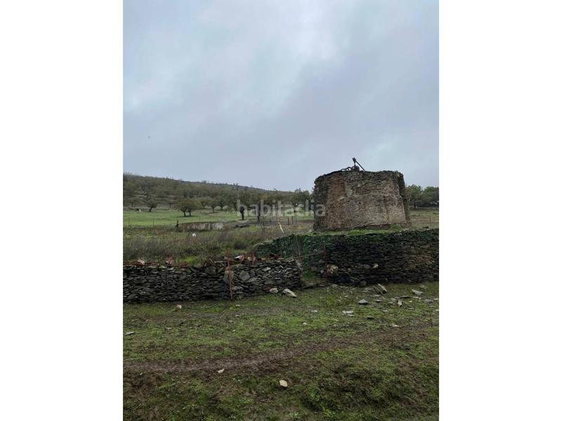 Foto 4efff59a-8204-4df6-a9fc-c62265ae04c8. Finca rústica a Madroñera