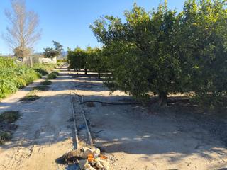 Finca rústica a Deltebre. ¡oportunidad de inversión única: finca de naranjos en plena prod