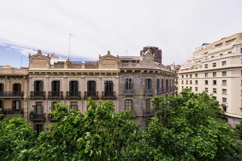 Foto d7046556-846b-443e-a50a-91a306af9cc2. Pis a Dreta de l´Eixample Barcelona