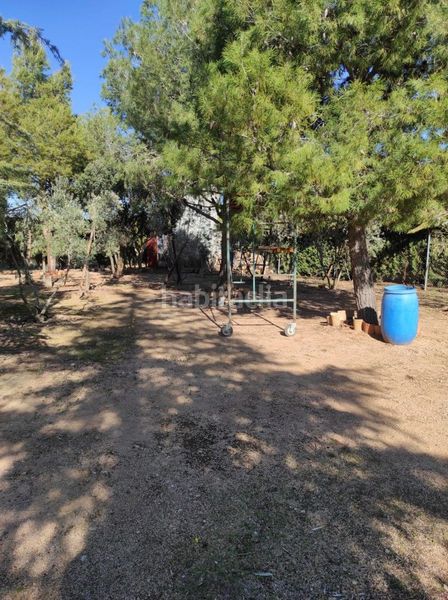 Foto 625dad97-452e-4542-a2f9-8abf6f6aa18b. Finca rústica a Tomelloso