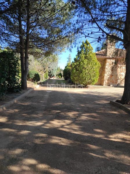 Foto a28926c7-094d-4cf9-b0f0-aa1c8e4a8cad. Finca rústica a Tomelloso