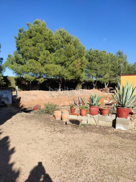 Foto bc22c17f-78d7-42da-b534-ecc275787c35. Finca rústica a Tomelloso