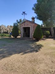 Finca rústica  Carretera de argamasilla. Se vende parcela