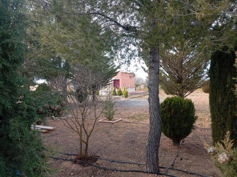Foto 00cbd8f6-fc43-4c90-9187-ea4605e58094. Finca rústica parcela en venta en tomelloso en Consuegra