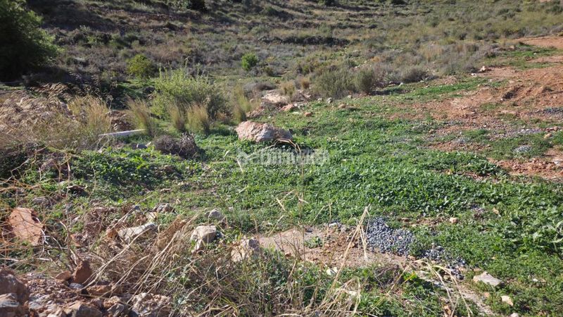 Foto 35a461af-887c-4e52-b84d-302cbd79bc61. Terreny residencial a Castell de Ferro