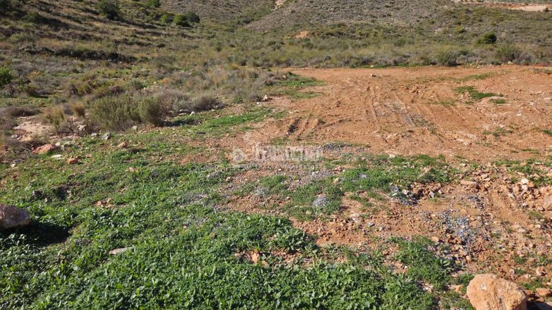 Foto 5c07c9c3-1ea4-4935-b3f7-a84f24c963e0. Terreny residencial a Castell de Ferro