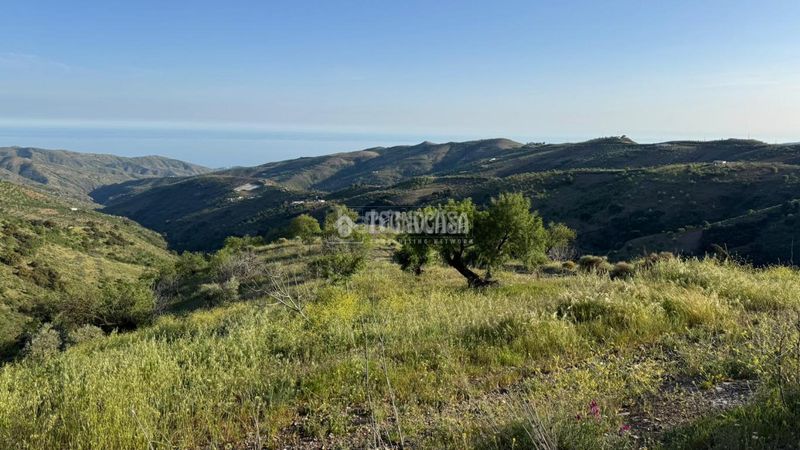 Foto 5d66cf96-09ef-4541-878d-262c72cb338b. Masia a Albondón