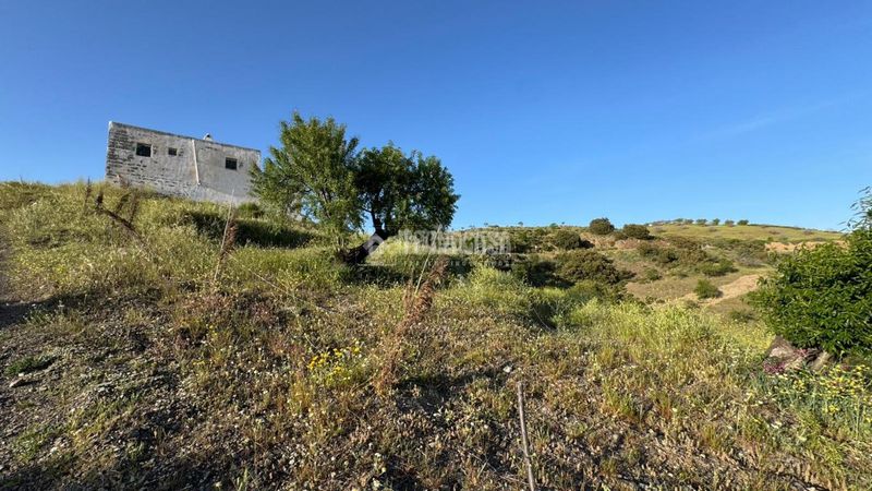 Foto 639af232-515b-4948-8d40-9fc50763e716. Masia a Albondón