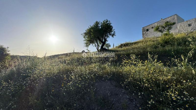 Foto 74c3a7e9-1116-4887-b08b-147d768a4011. Masia a Albondón