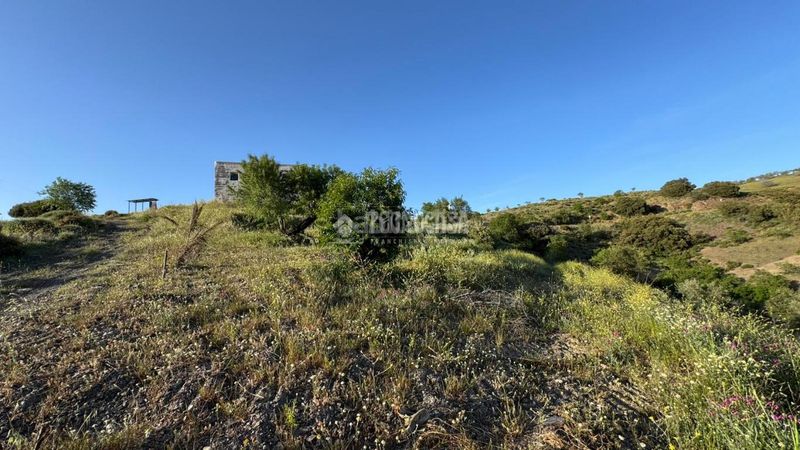 Foto 874c0b2c-8325-43f3-8241-16a433abf50d. Masia a Albondón