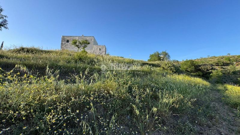 Foto 90238fb7-c6fa-485b-bd1a-601310a3868e. Masia a Albondón