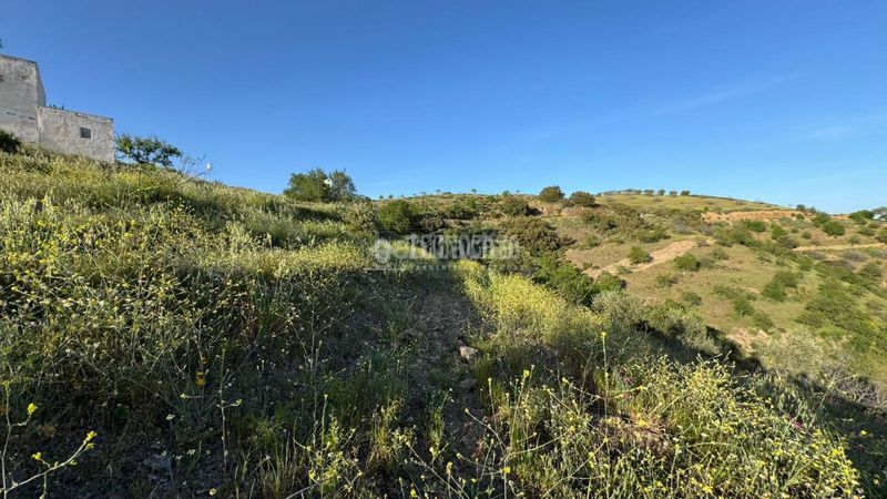 Foto 91ec8af6-c174-4a1e-8306-83bf2de87d32. Masia a Albondón