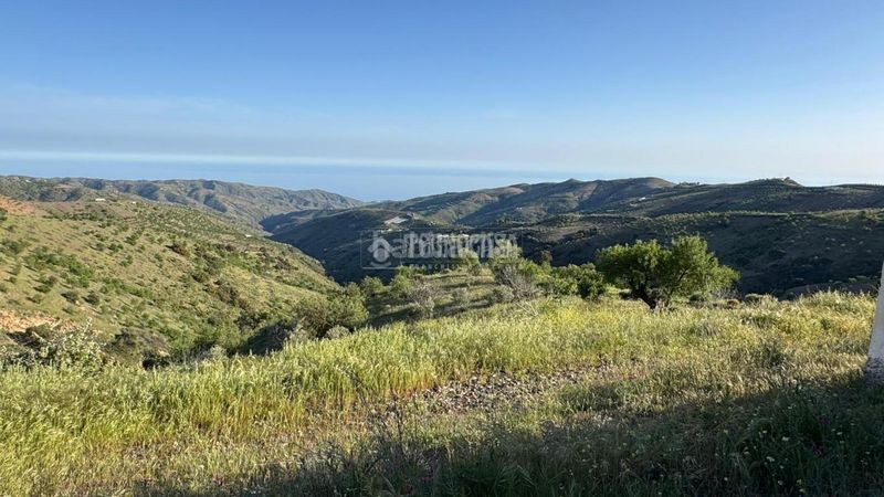 Foto a0c22b8e-5a4b-4126-8874-f2b42a32fa74. Masia a Albondón