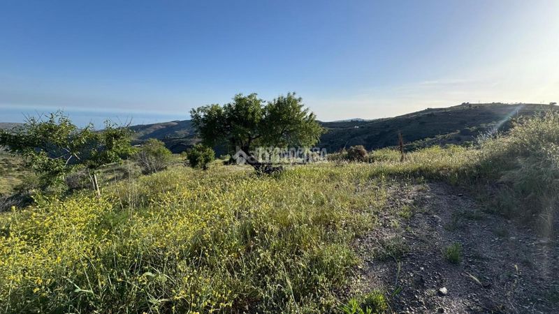 Foto baca343c-10fa-4a23-a5d8-9ba9fe80cc19. Masia a Albondón