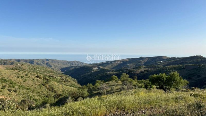 Foto f7b79a93-b2ac-4965-adac-95b94d0a017a. Masia a Albondón