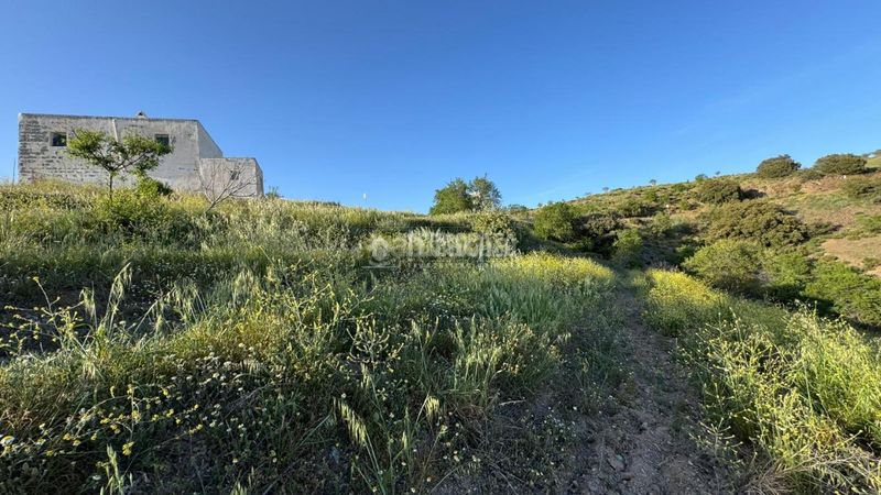 Foto f9fcdb01-64f5-4b39-ad69-1cb7085db1c3. Masia a Albondón