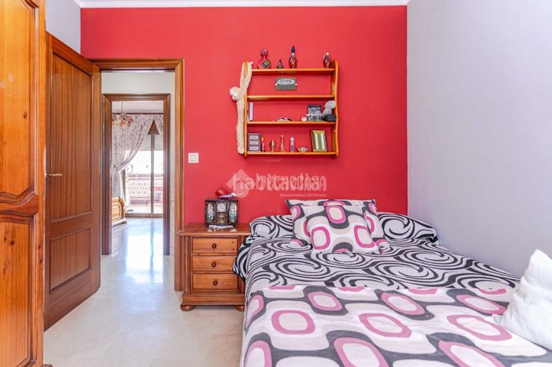 Foto 9b247b6a-f7ff-4072-9796-1b2d04120e64. Àtic a Albuñol