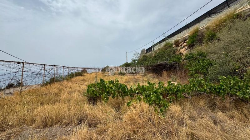 Foto 9b8d47fa-b1a8-4401-ab98-ce80abd9c3e3. Finca rústica a Albuñol