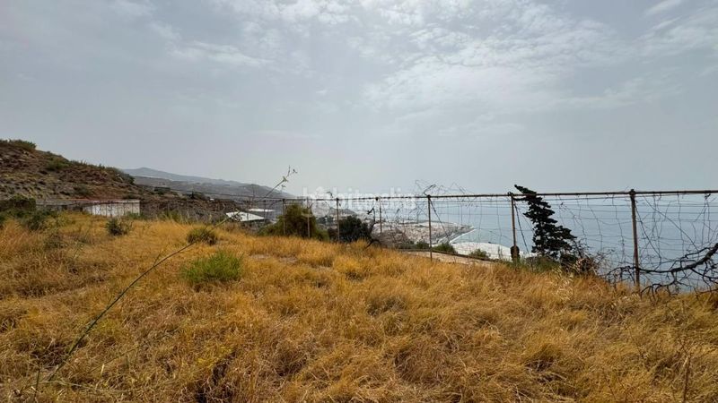 Foto a795c53f-9629-47fe-ae74-ae8dd5a3d30b. Finca rústica a Albuñol