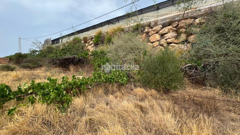 Foto ab1a1686-4595-4076-8b15-07a7fcf92b29. Finca rústica a Albuñol