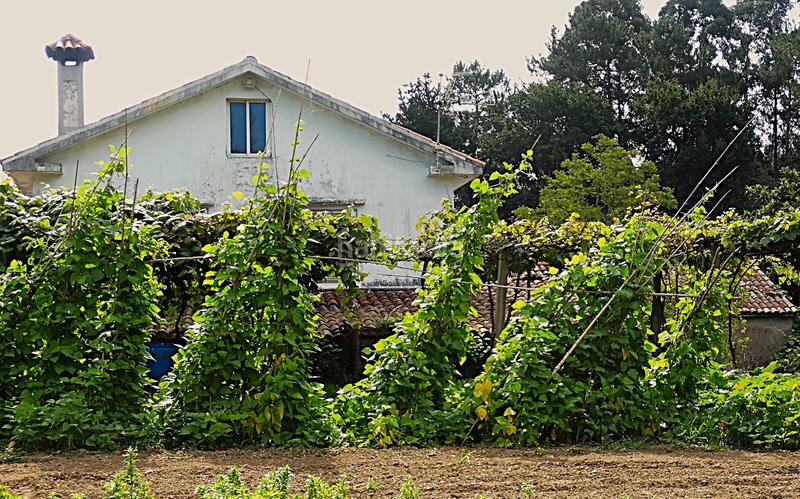 Foto 010b0fa1-04f6-4cf2-905f-72030004e962. Bauernhof mit kamin heizung parking in Piñeiros - Freixeiro Narón