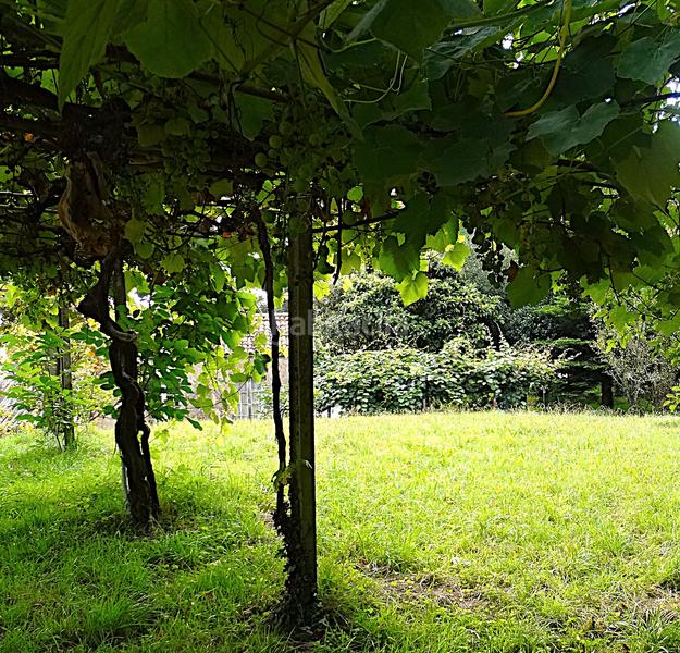 Foto 1ac3305d-52d5-42fb-bb99-e6300247c257. Bauernhof mit kamin heizung parking in Piñeiros - Freixeiro Narón