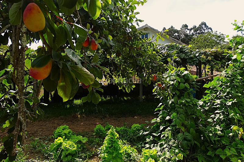 Foto 1d9f1392-77df-4236-b43a-39eb0d446b82. Bauernhof mit kamin heizung parking in Piñeiros - Freixeiro Narón